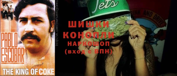 бошки Белокуриха