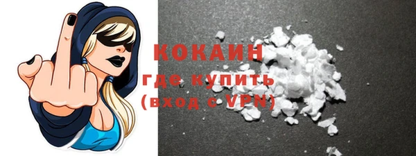 бошки Белокуриха
