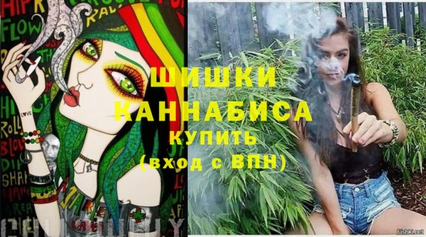 бошки Белокуриха